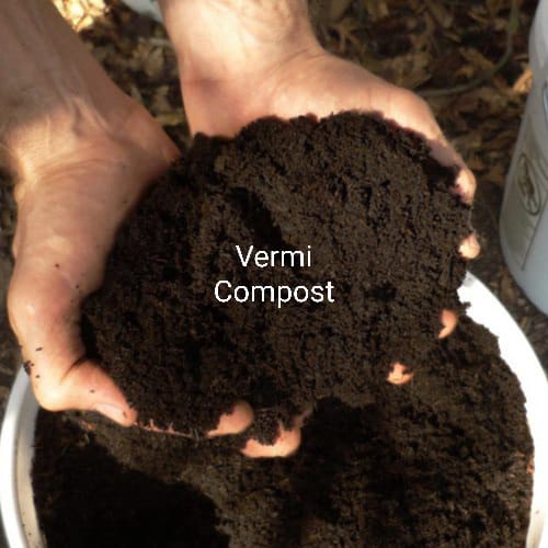 Vermicompost